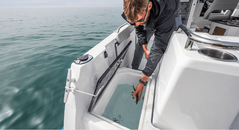 Review Beneteau Antares 8