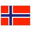Norway Flag - 20x30cm
