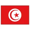 Tunisia Flag - 30x45cm, Dimensions, cm: 30x45