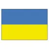 Ukraine Flag - 40x60cm, Dimensions, cm: 40x60