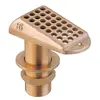 Drilled Brass Intake Strainer - 1"1/2, Thread: 1"1/2