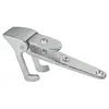 Security hook for ladders