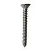 Screws head cross cut TSP 7982 - diameter 3,5x19mm