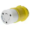 Socket 2P+T 230V. 16A IP56