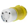 Socket 2P+T 230V. 32A IP56