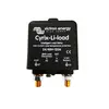 Cyrix-Li-load 24/48V-120A
