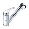 Tap with Pull-out Shower