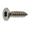Countersunk Torx Screw A4