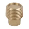 Ø1/2 Brass Scupper Replacement Plug