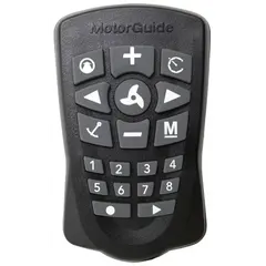GPS Replacement Remote Control