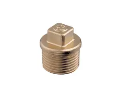 Brass Plug - 1"