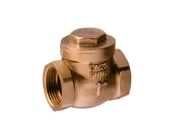 Swing Check Valve - 1", Thread: F1"