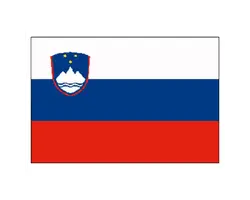 Slovenia Flag - 20x30cm