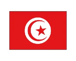 Tunisia Flag - 20x30cm