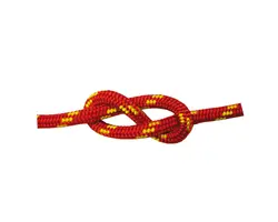 Braid H.T. Red diameter 10mm 200mt