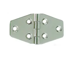 Mirror polished S.S. hinge