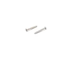Screw parallel head cross cut DIN 7982 A4 - 5,5x32mm CONF.25