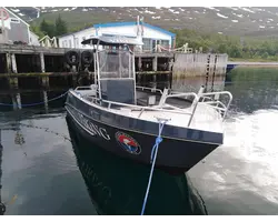 Boat Viking 550 CR