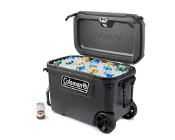 Convoy 65 Icebox - 72.5x39.5x48cm, Capacity, L: 66