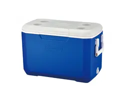 Poly-lite 48 Icebox - 65x36x36cm