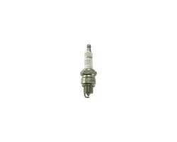 Spark Plugs - L78YC