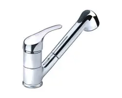 Tap with Pull-out Shower