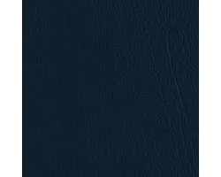 Colorguard Navy 517920