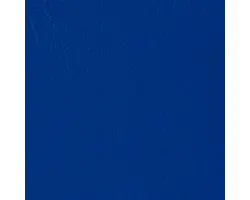 Grand cayman Regal blue ogcy 1015