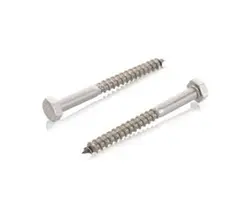 Hexagonal Wood Screw DIN 571 A4 - 8x150