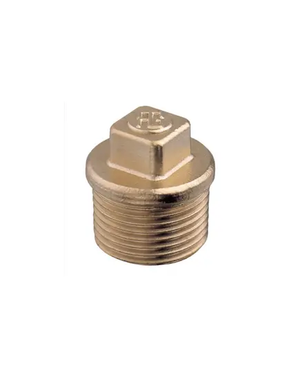 Brass Plug - 1"