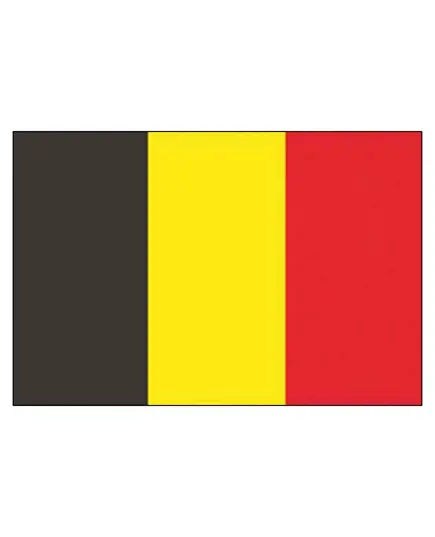Belgium Flag - 30x45cm