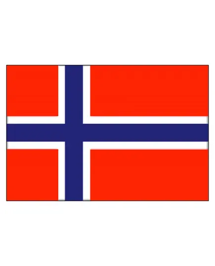 Norway Flag - 20x30cm