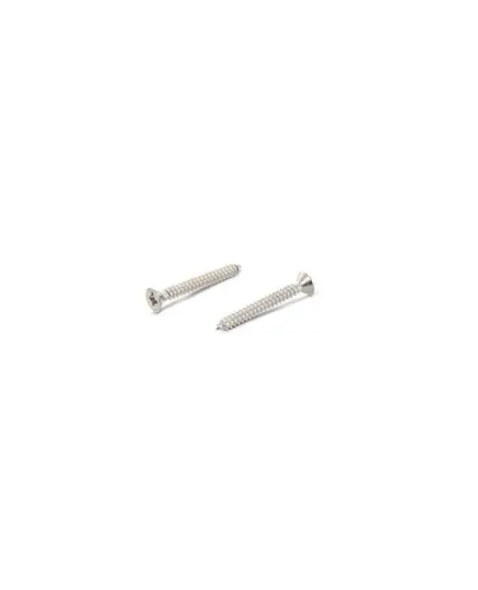 Screw parallel head cross cut DIN 7982 A4 - 6,3x50mm CONF.25