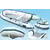 Dinghy Gibsy model A 270, Model: Gibsy 270 "A", 4 image Dinghy Gibsy model A 270, Model: Gibsy 270 "A", 4 image