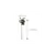 Douche de rechange droit, 2 image Douche de rechange droit, 2 image