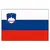 Slovenia Flag - 40x60cm, Dimensions, cm: 40x60 Slovenia Flag - 40x60cm, Dimensions, cm: 40x60