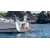 Beneteau Oceanis 38.1, 5 image Beneteau Oceanis 38.1, 5 image