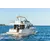 Beneteau Swift Trawler 41 Fly, 3 image Beneteau Swift Trawler 41 Fly, 3 image