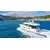 Beneteau Swift Trawler 41 Fly, 4 image Beneteau Swift Trawler 41 Fly, 4 image