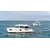 Beneteau Swift Trawler 41 Berline, 3 image Beneteau Swift Trawler 41 Berline, 3 image