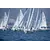 J/70, 14 image J/70, 14 image