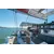 Trimaran Neel 43, 16 image Trimaran Neel 43, 16 image