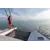 Trimaran Neel 47, 14 image Trimaran Neel 47, 14 image