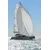Trimaran Neel 52, 4 image Trimaran Neel 52, 4 image