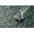 Trimaran Neel 65, 7 image Trimaran Neel 65, 7 image