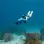 Jobe Infinity Seascooter Pro Package, 11 image Jobe Infinity Seascooter Pro Package, 11 image