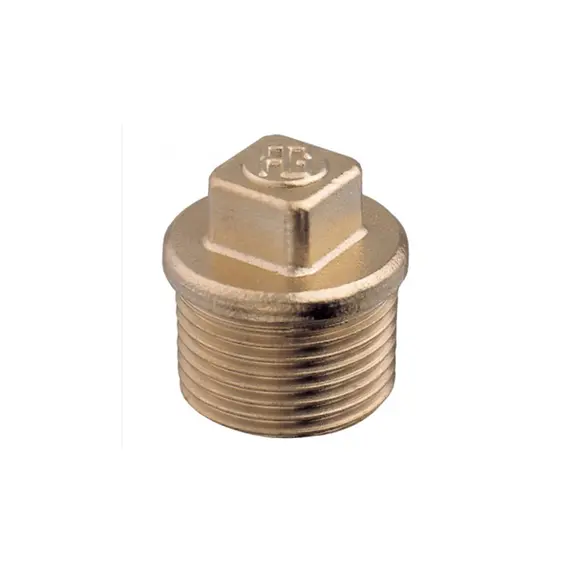 Brass Plug - 1"