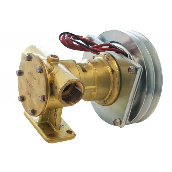 PM 36 EM Pump