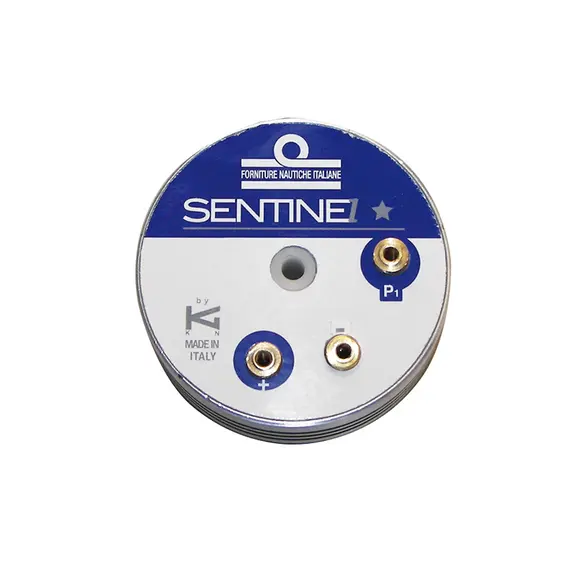 Sentinel One Star