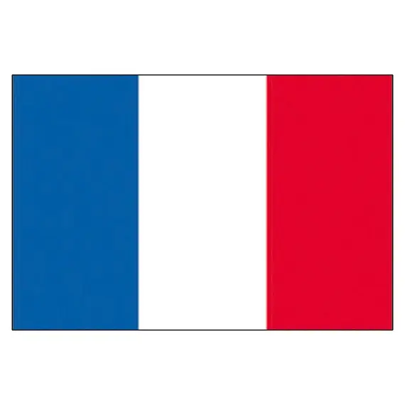 Drapeau de la France - 70x100cm, Dimensions, cm: 70x100